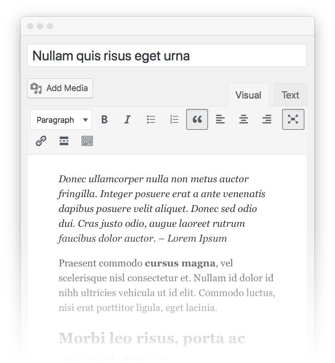 WordPress editor