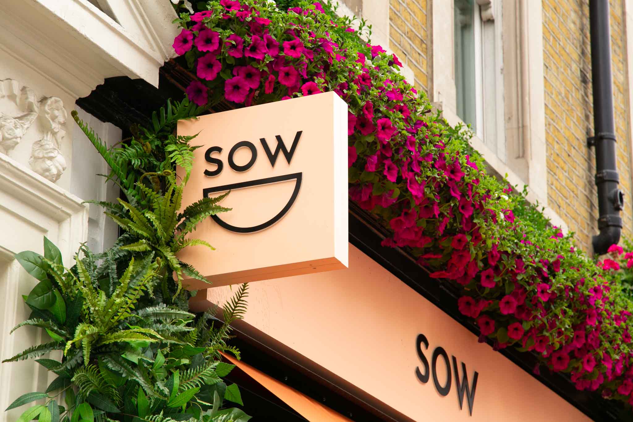 sow soho brand identity