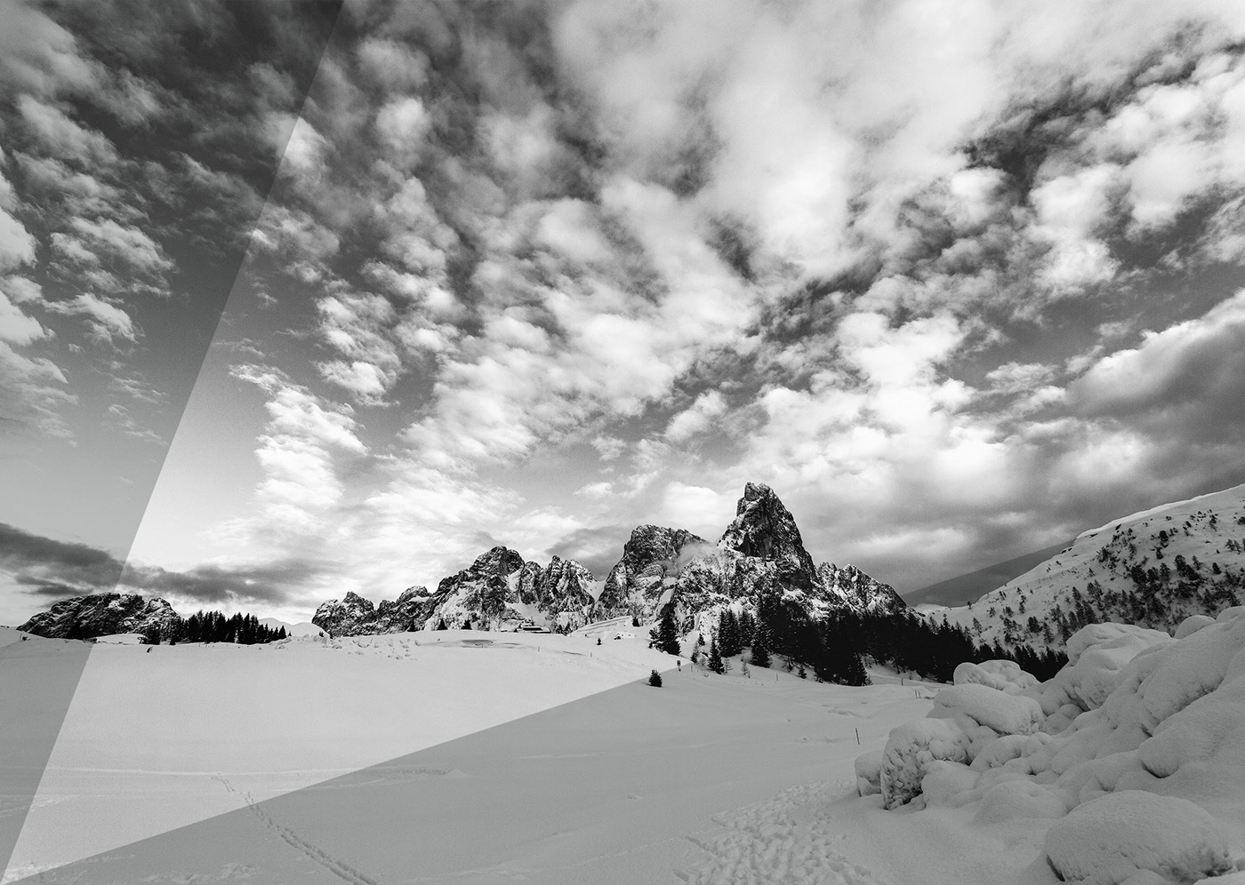 brand identity landscape