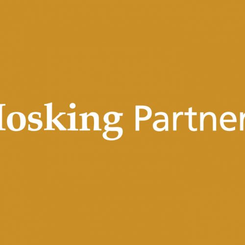 Preview image for web design London finance company Hosking Partners