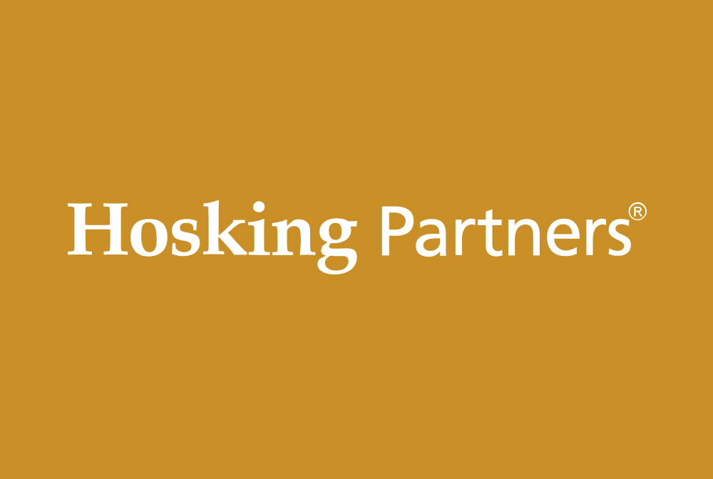 Preview image for web design London finance company Hosking Partners