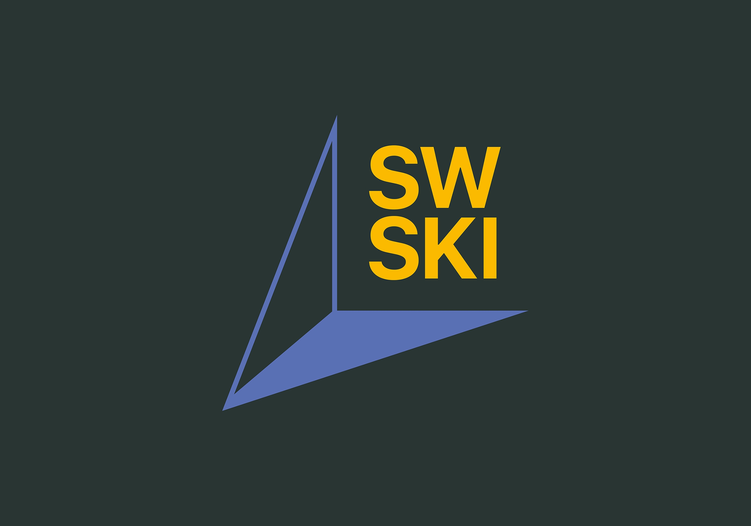 ski brand identity cover image