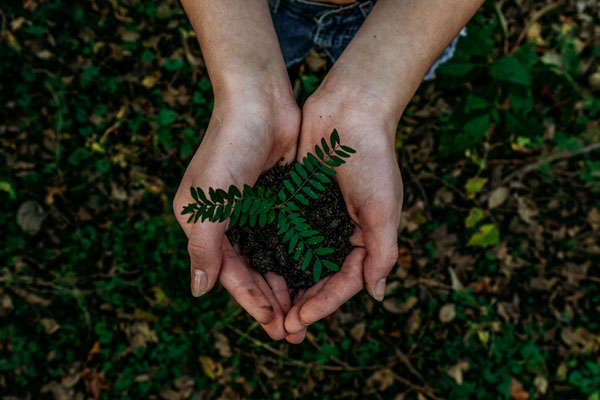 sustainable website design