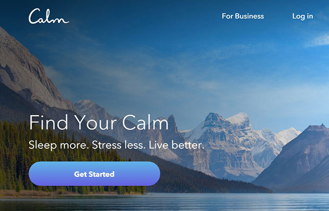 website landing page