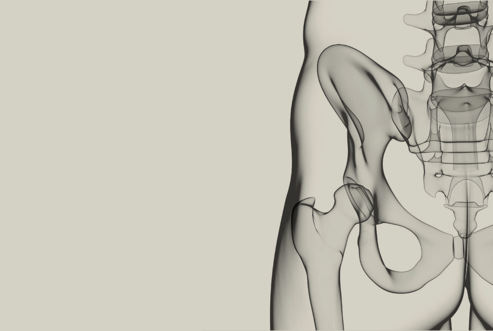 Fares Haddad Web Design for Healthcare