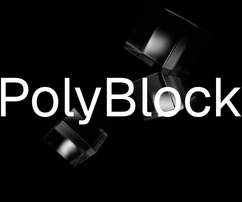 PolyBlock Web design for web 3.0